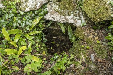 Tobermacduagh holy well close up | James Feeney