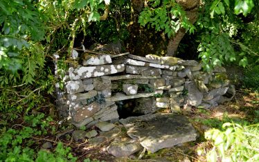 Saint Senan's Well Tobar Sheanáin, Carrowmanagh South | James Feeney 