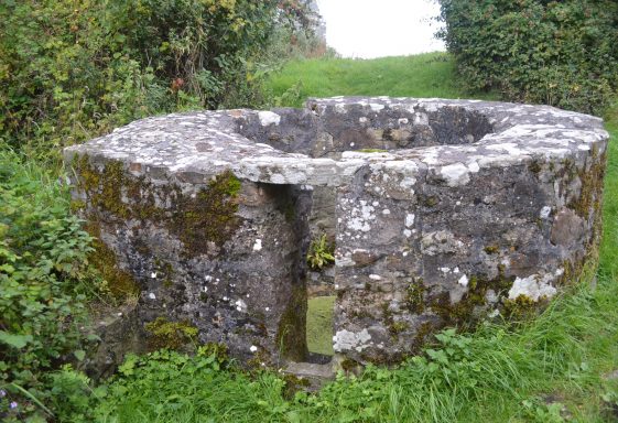 Saint Mary's Well, also known as Our Lady's Well, Inishcealtra