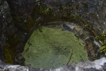 Saint Mary's Well, also known as Our Lady's Well, Inishcealtra | James Feeney 