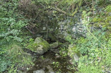 Tobersraheen, Tobar Srathaín, The Well of the Little Stream, Ballybran | James Feeney